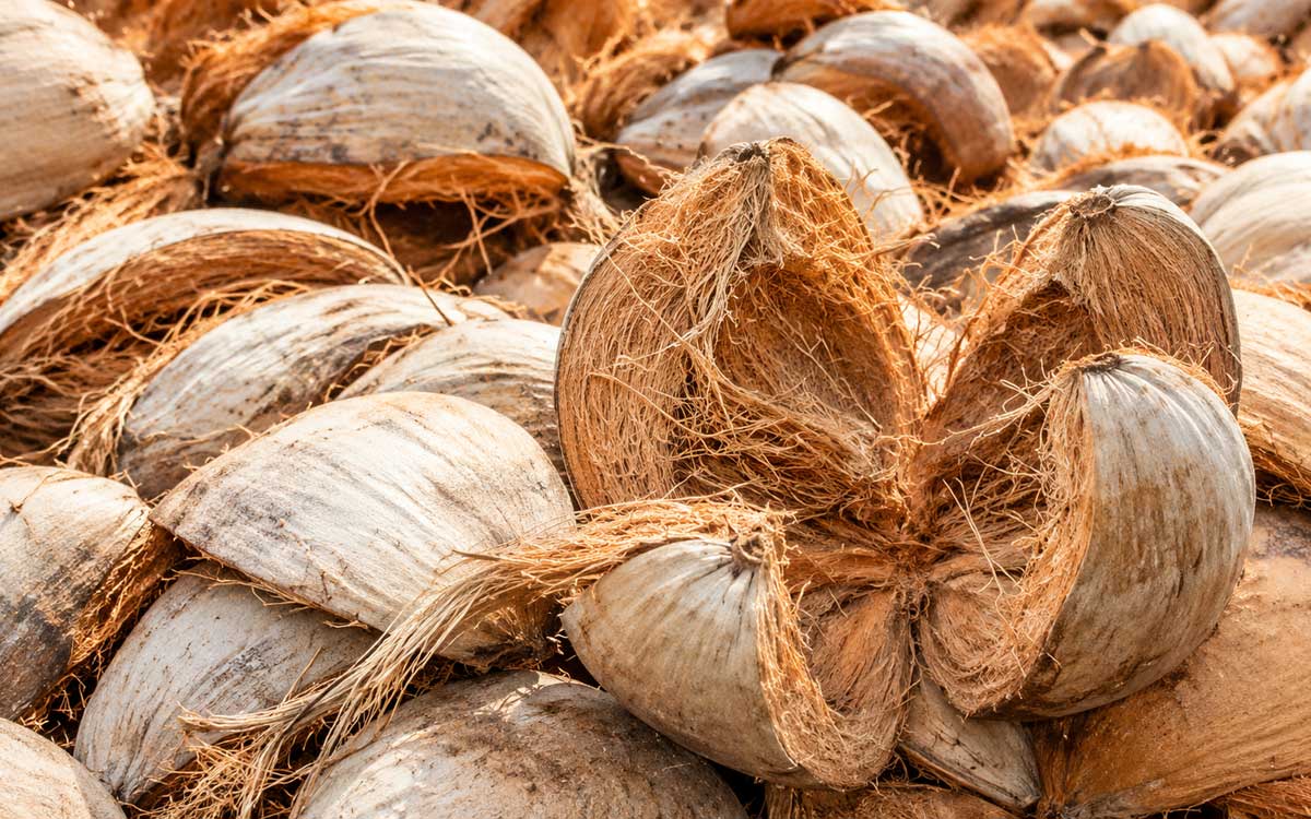 Raw Material Sourcing
